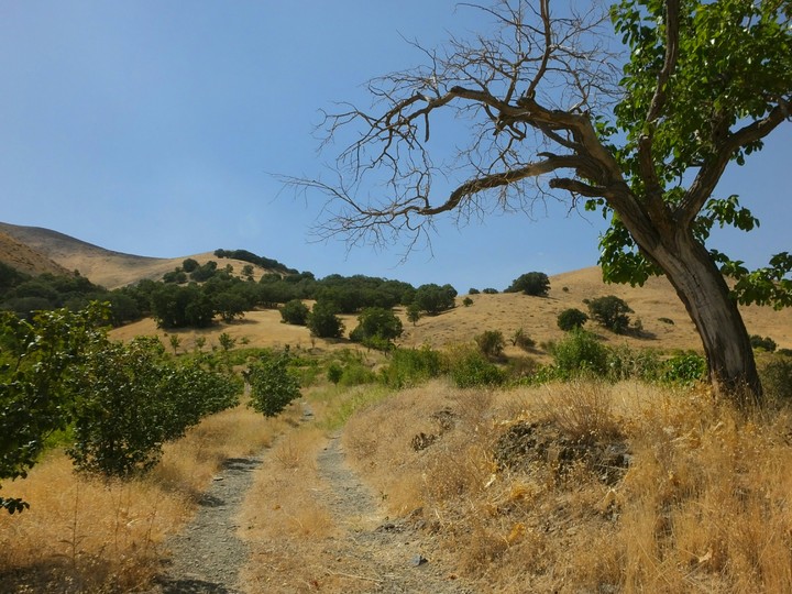 memorieal hills...