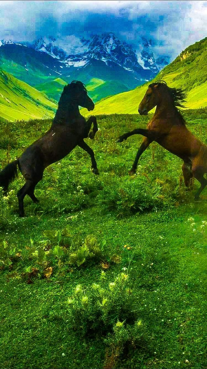Georgia region Svanethi mountain Ushguli