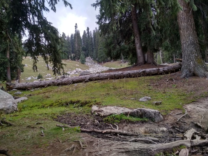 Trail 2