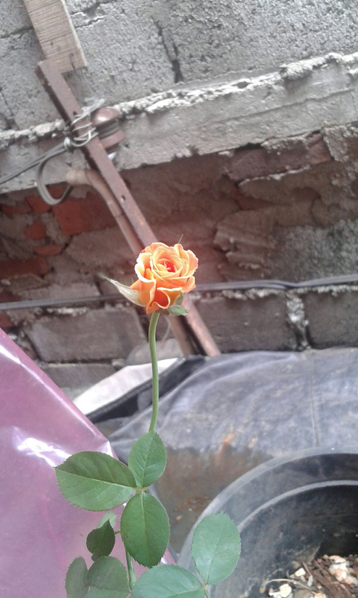 angle 3