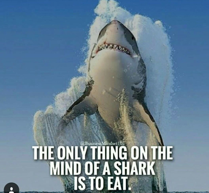 Motivational Quote