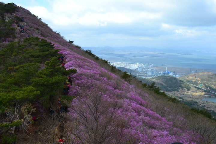 영취산이미지