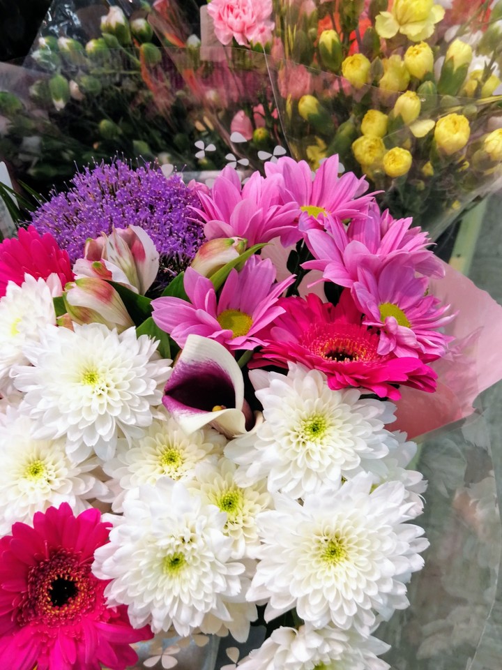 Blumen