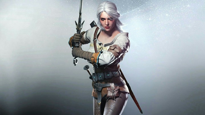 The Witcher