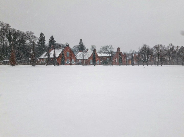 Snowing 
