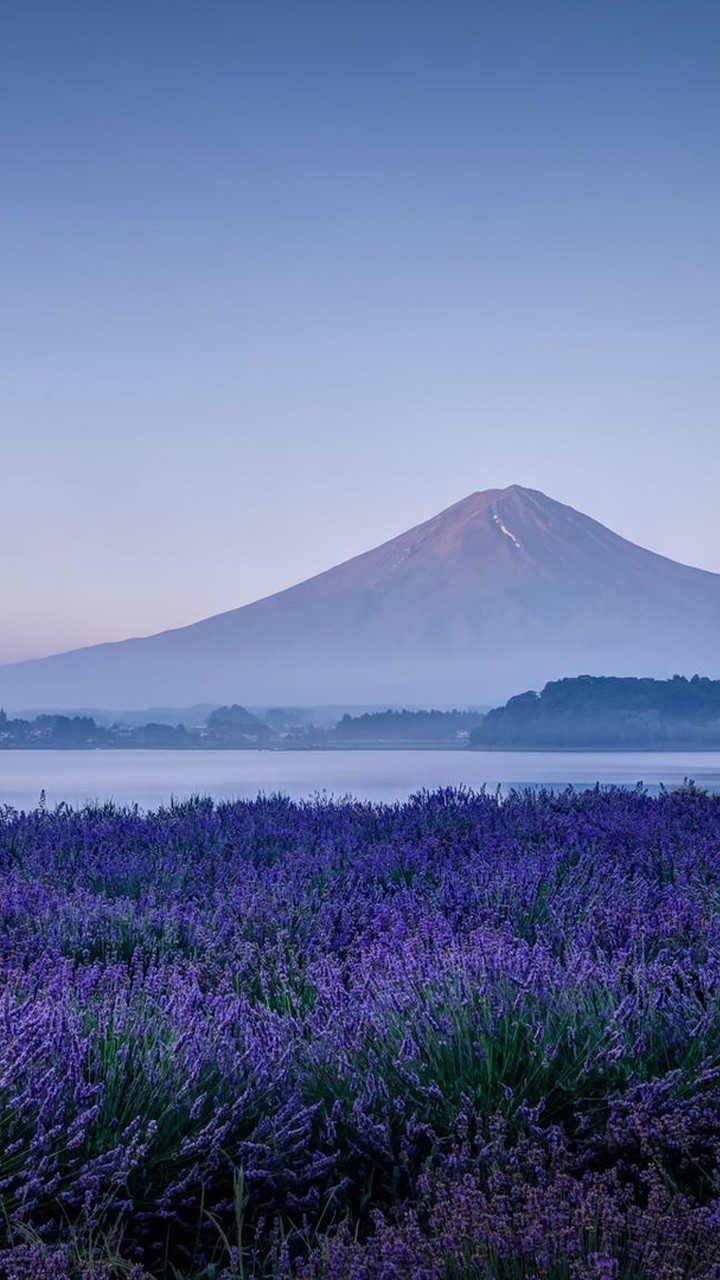 nature