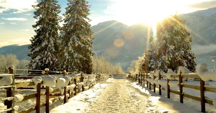 warm winter
