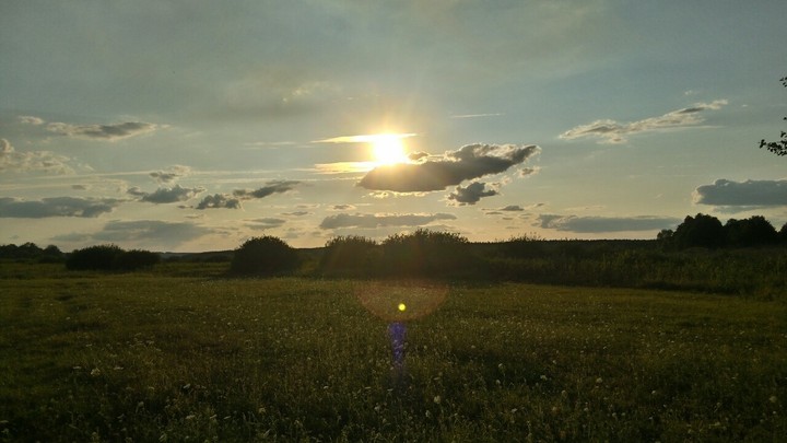 Sunny field