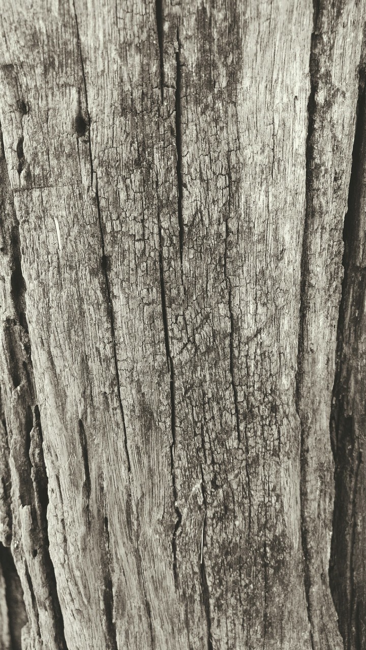 rústico
