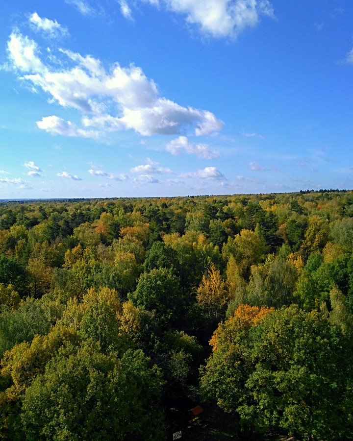 осень