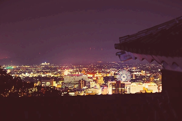 Matsuyama Night view