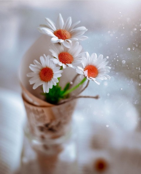 Effect, lovely wallpapers