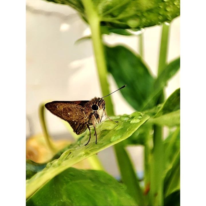 Beautiful Creature ❤️
