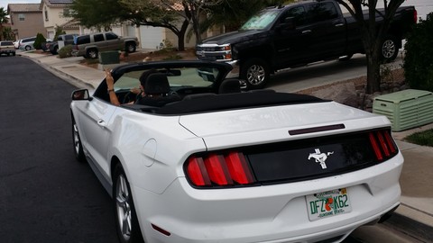 Mustang Convertible