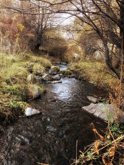river