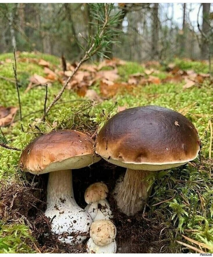 .