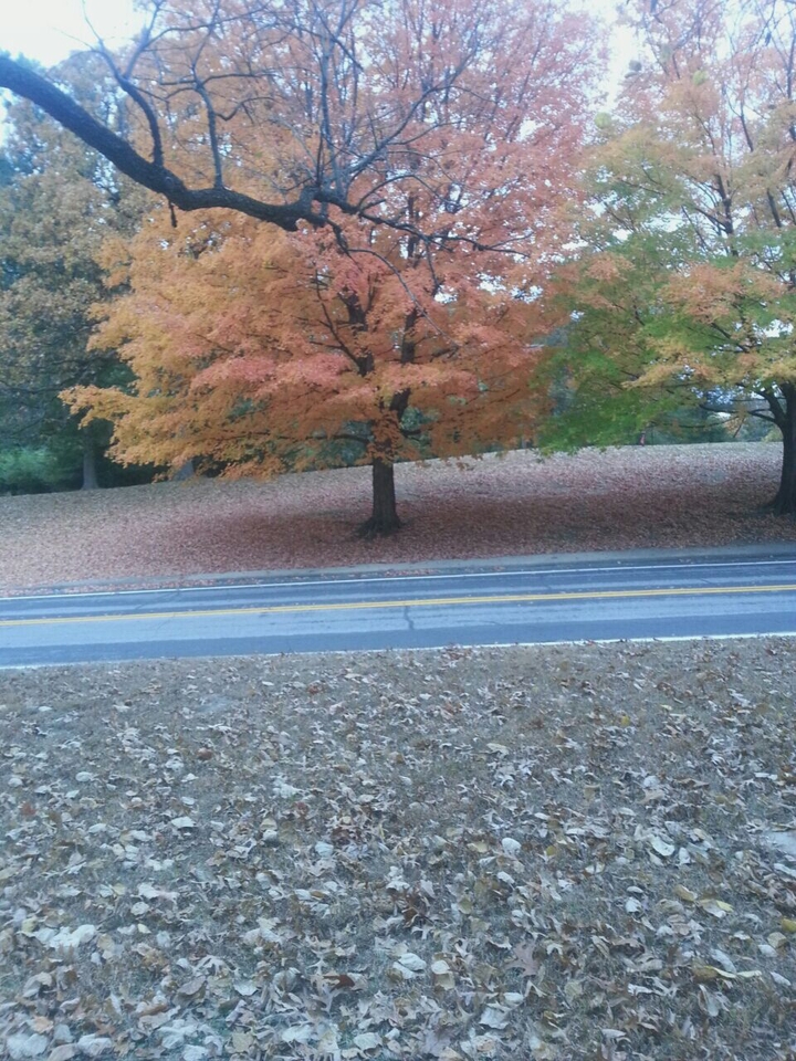 fall