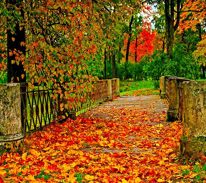 autumn day...
