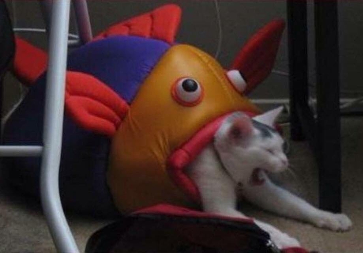 эп