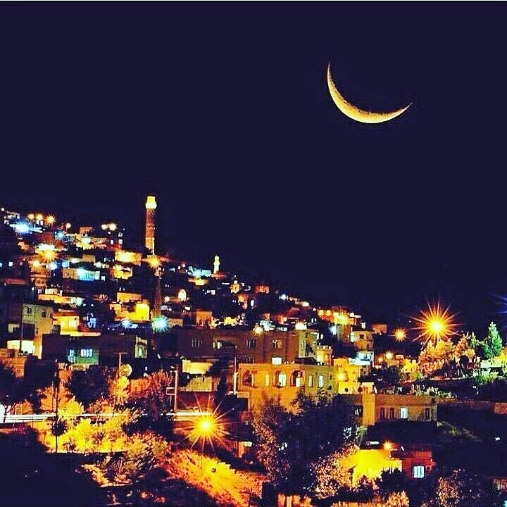 Mardin