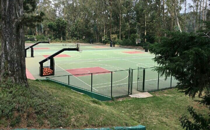 basketball