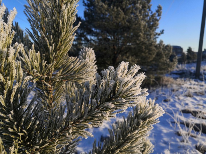 winter