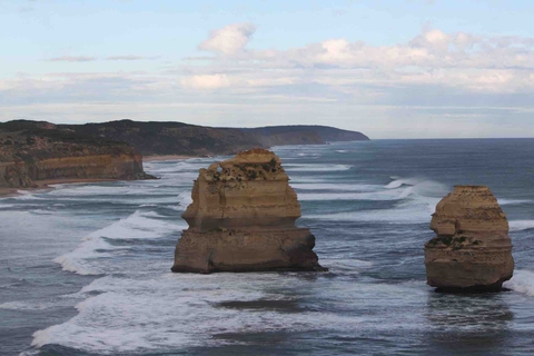 Bondi Me
