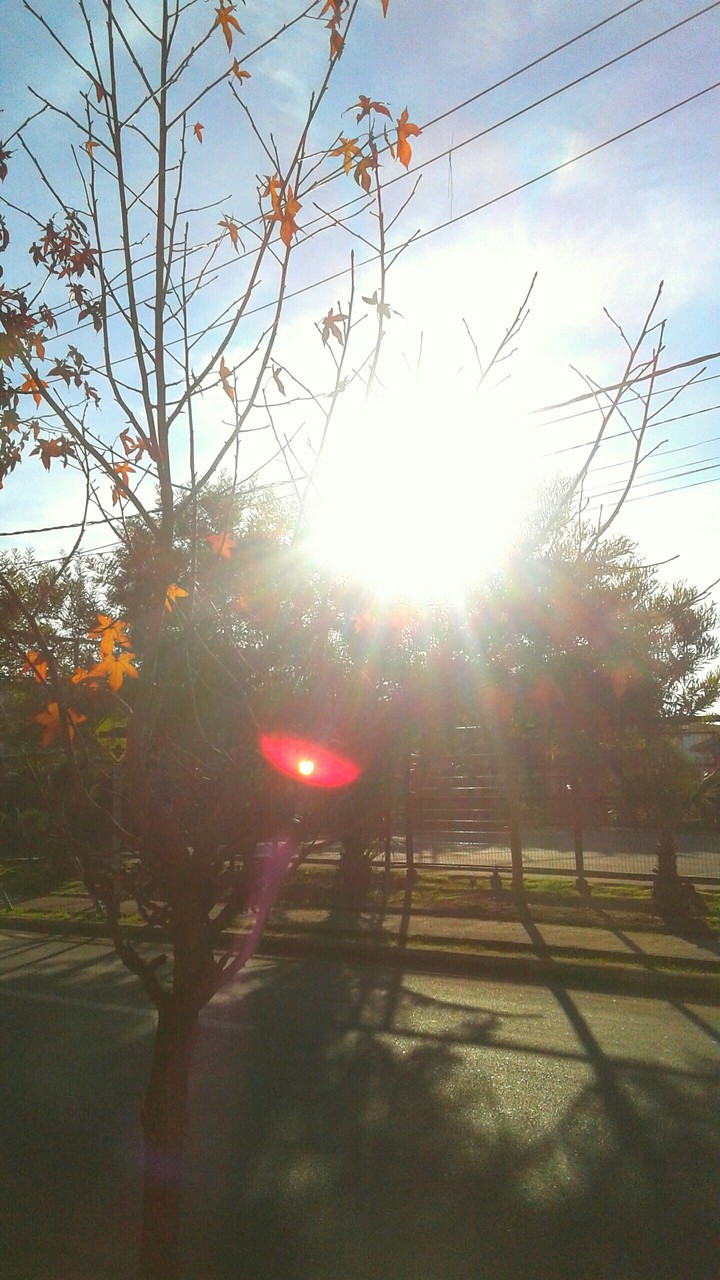 el sol