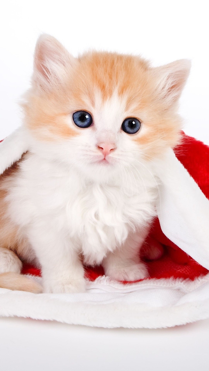 ☃️