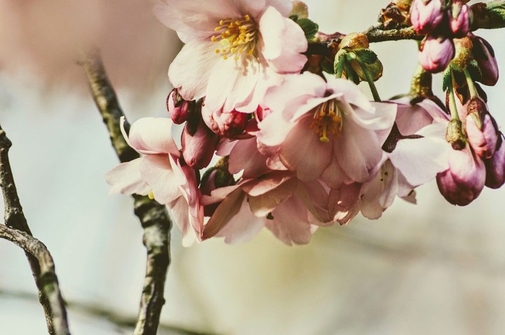 Spring