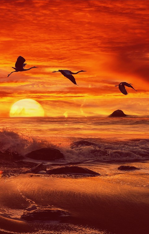 Sunset