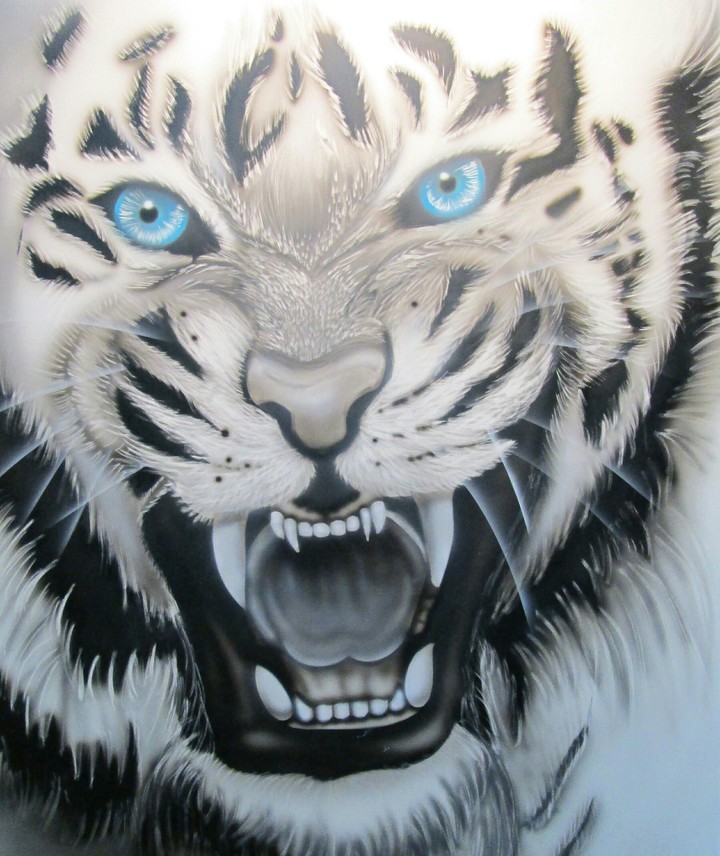 animal
