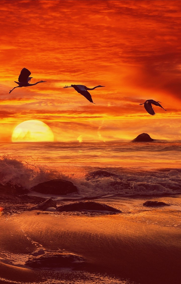 Sunset