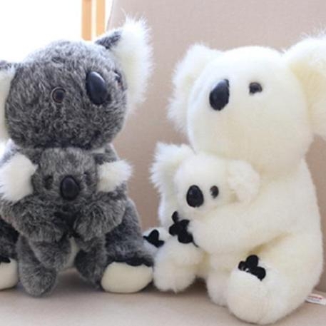 koala