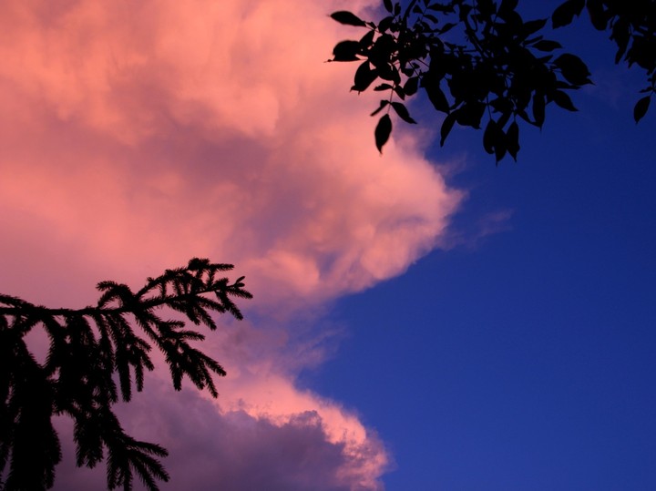 pink clouds