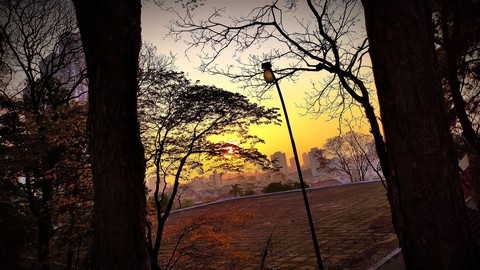 Nature