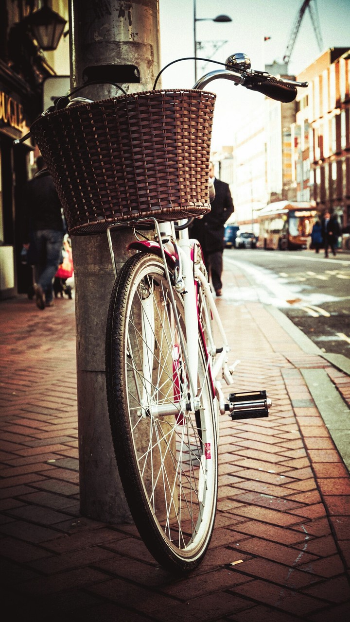 A bicycle