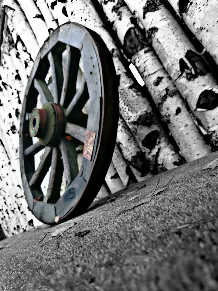 Wheel