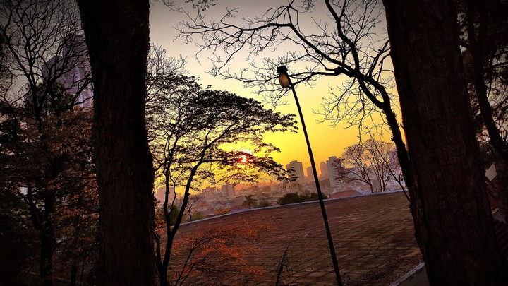 Nature