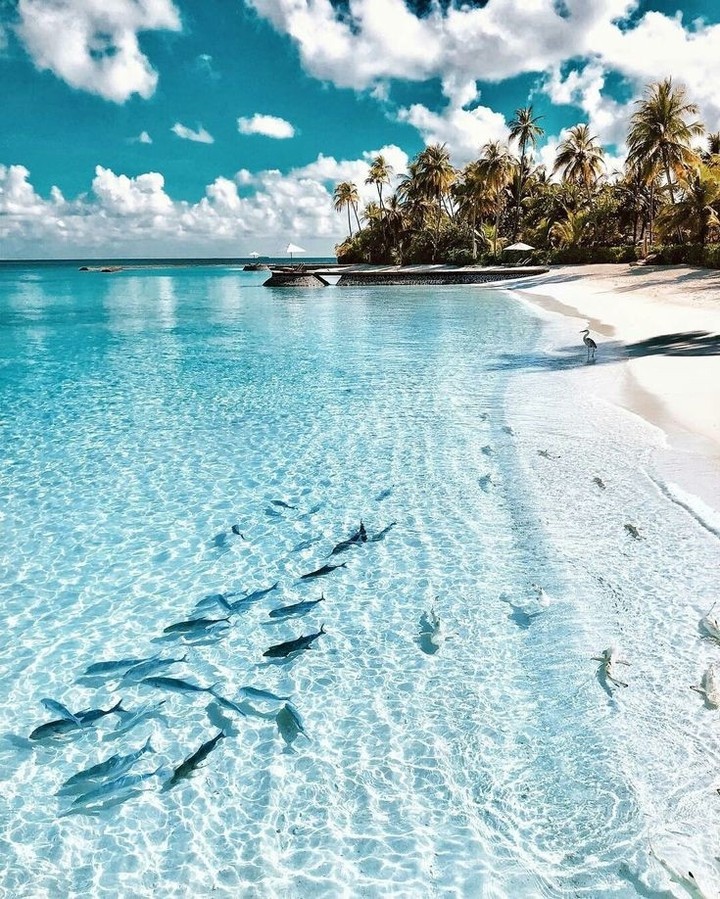 Sea