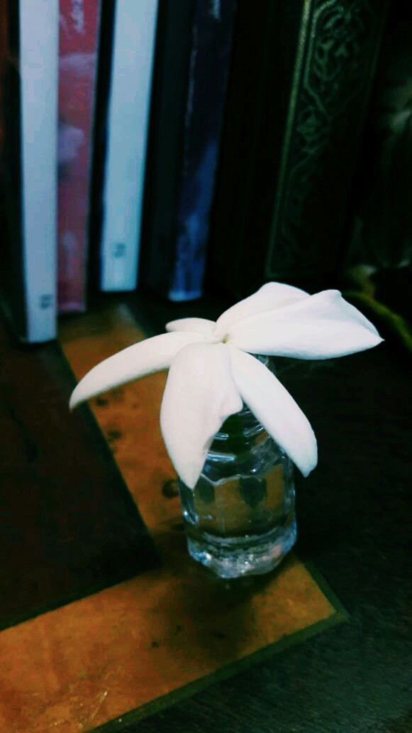 flower in the library