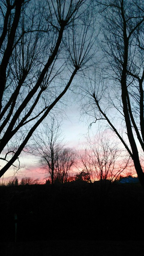 sunset 3