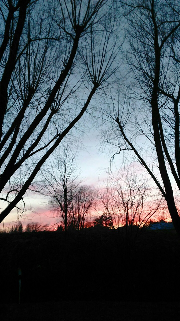 sunset 3
