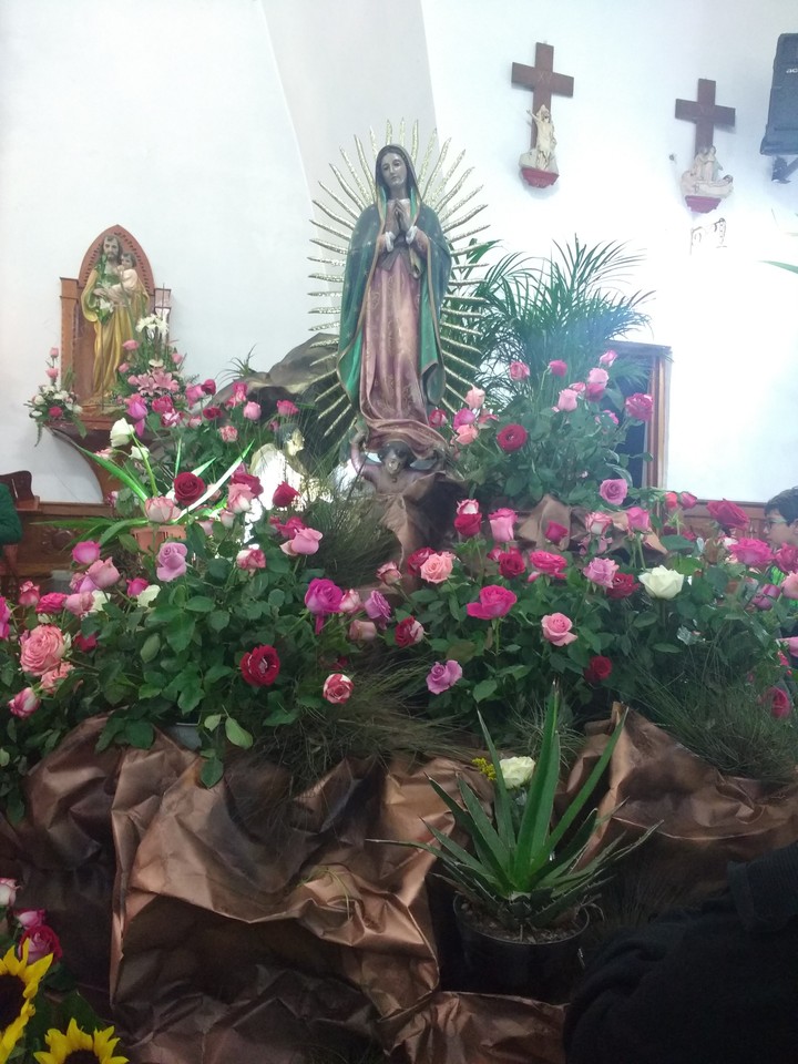 Flores