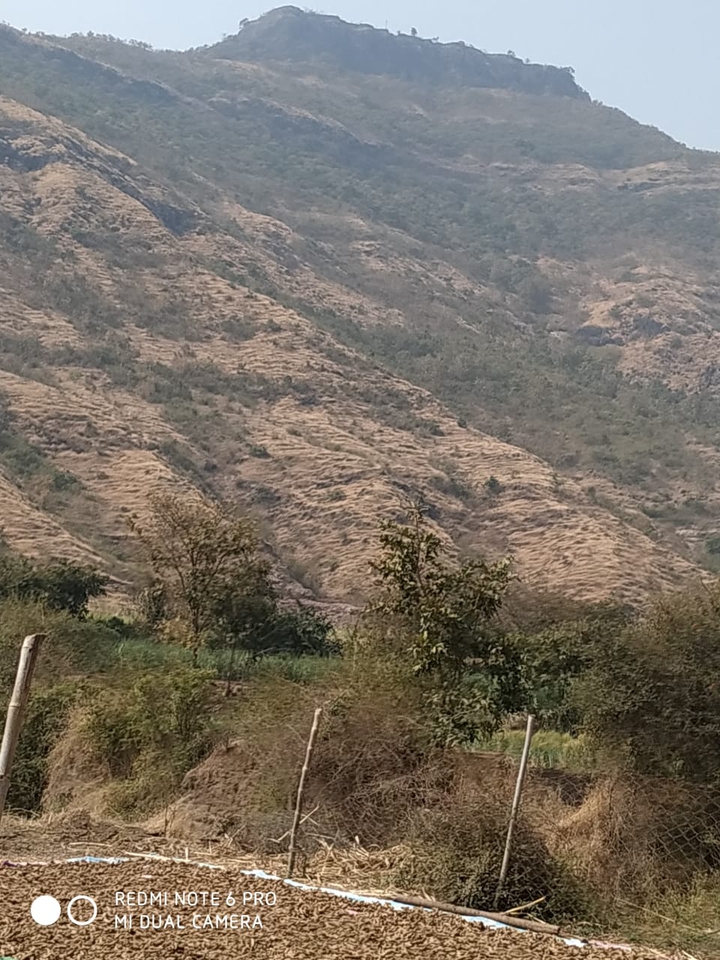 mount