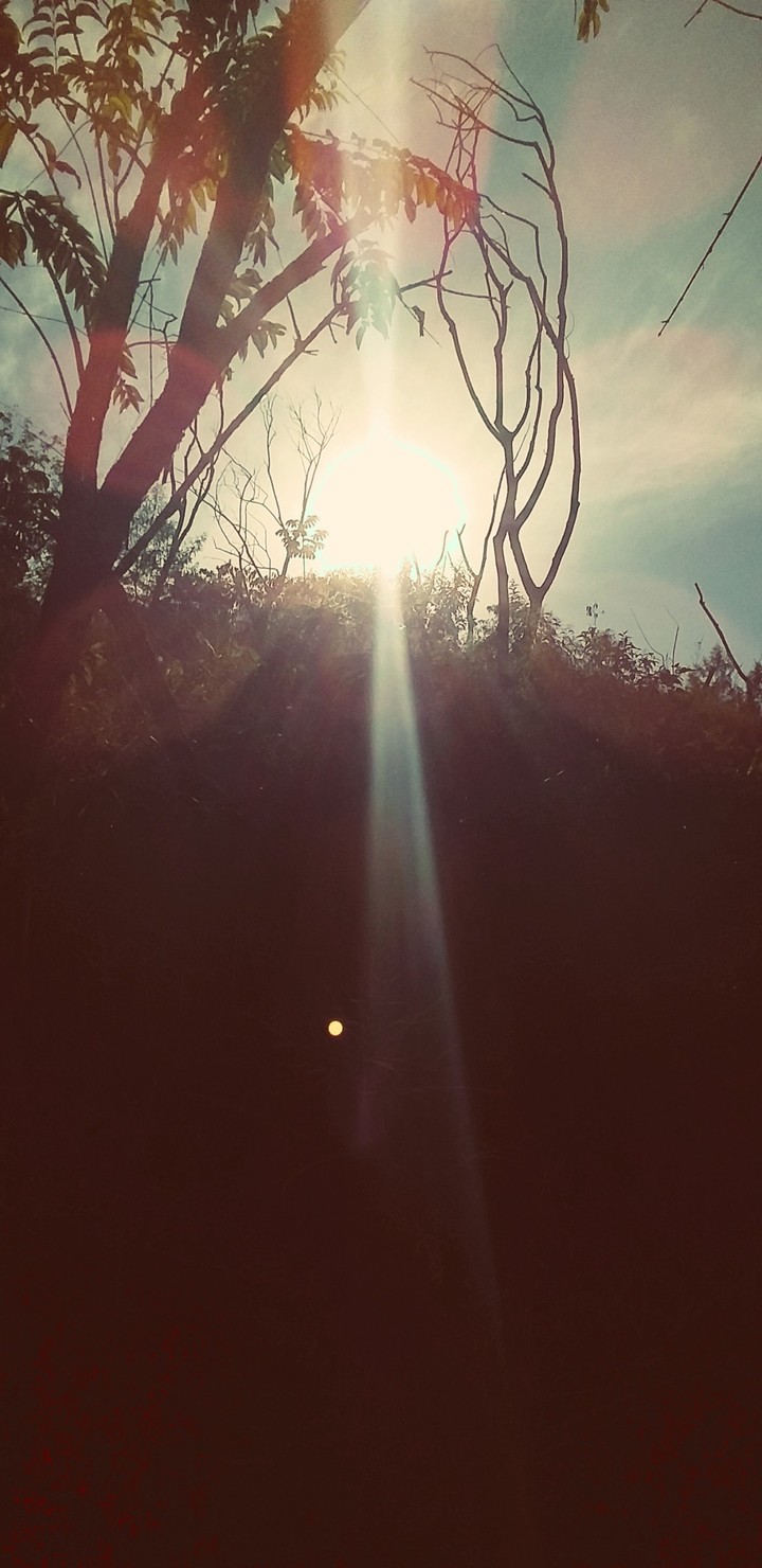 sol de 10:00