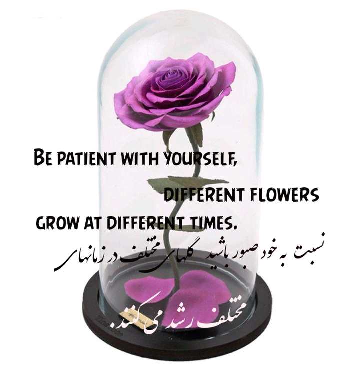 ،،