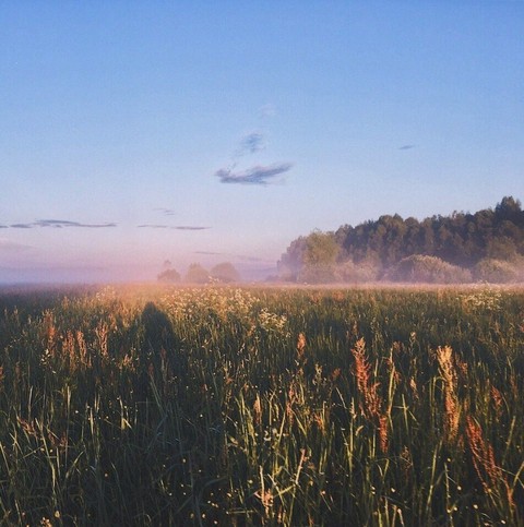 papéis de parede cloud, grass
