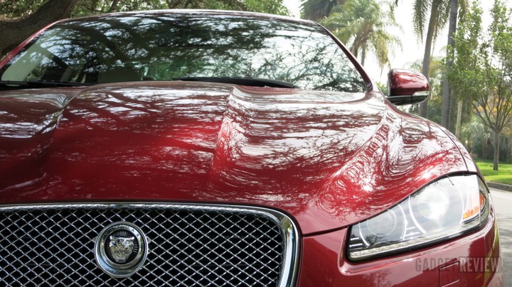 jaguar