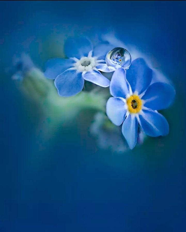 blue